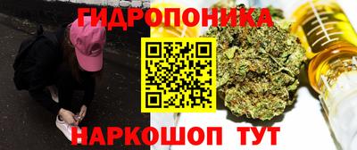 шишки Азнакаево