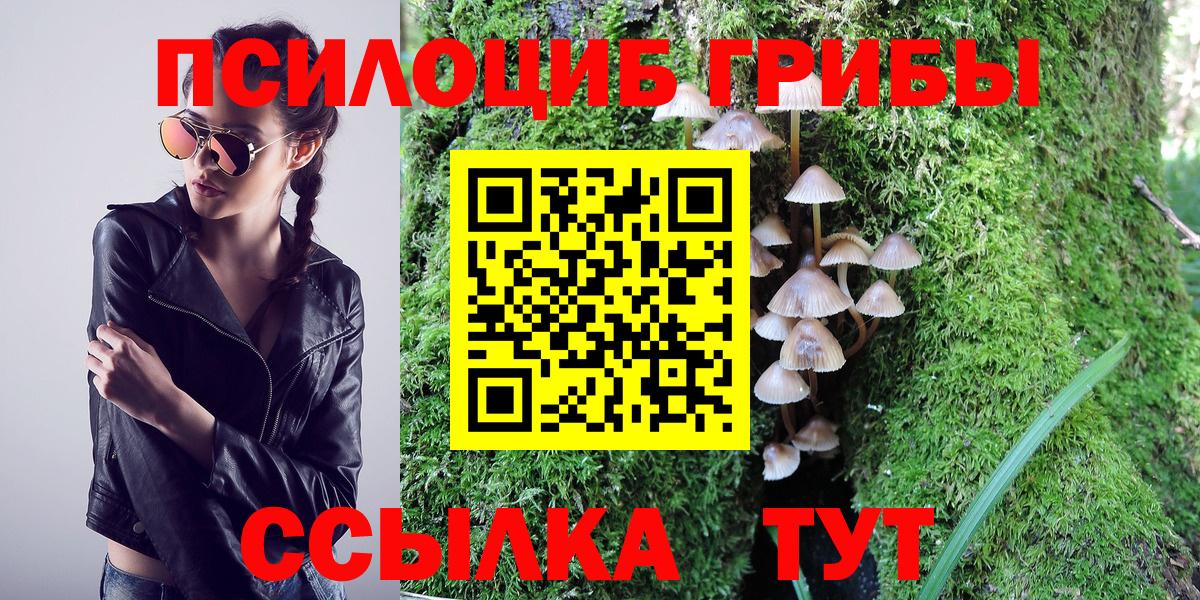 Галлюциногенные грибы Cubensis  Вход с VPN  Галлюциногенные грибы мухоморы  Алейск 